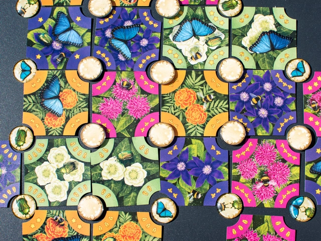 Avis jeu POLLEN allplay